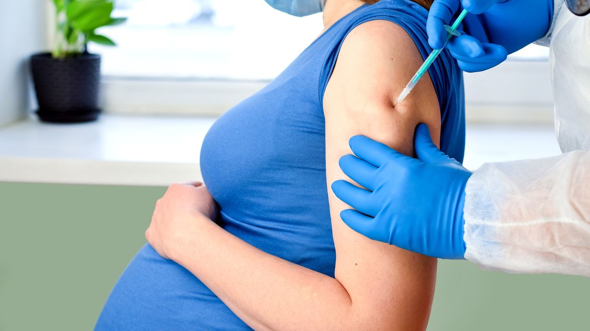 Lékařské kapacity se jasně vyjádřily ke sporu o očkování těhotných